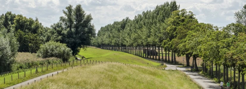 natuurgebied met fietspaden